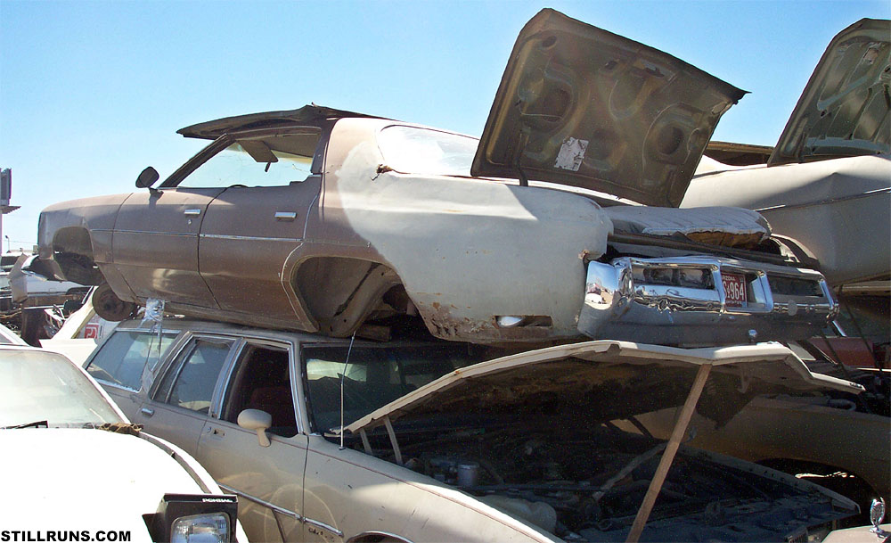 Day At The Junk Yard