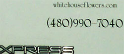 White House Interiors and Flowers offers Phoenix custom flowers, gifts
and design.
